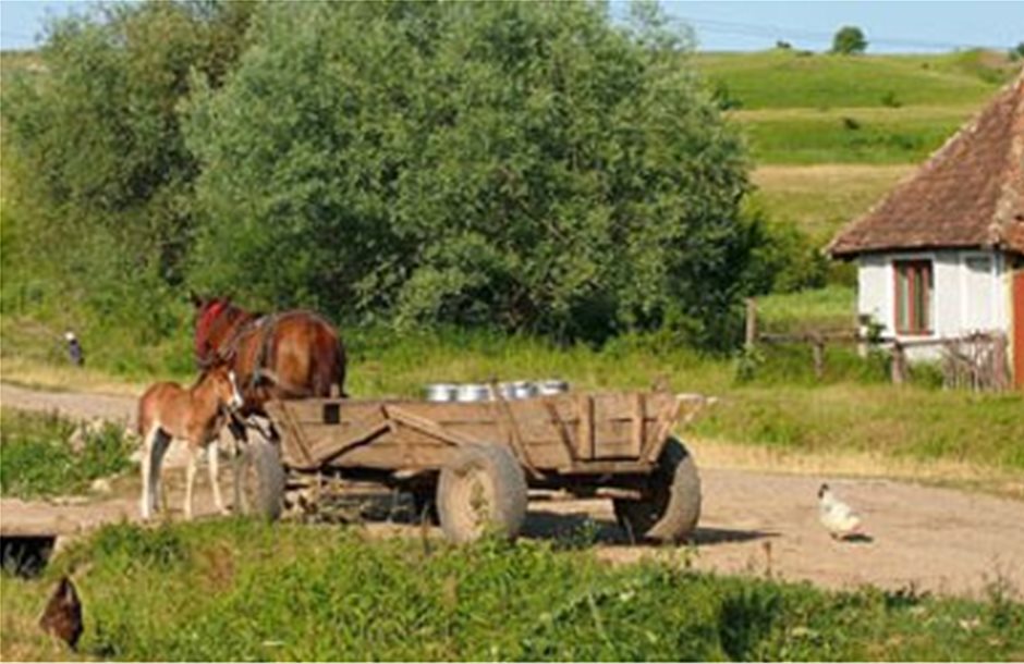 Αγορά αγροτικής γης στη Ρουμανία υπό προϋποθέσεις 